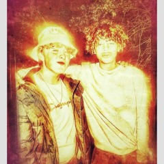 CRXSSBREED