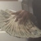 kjaysownworld_