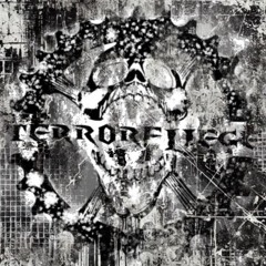 Terrorfliege