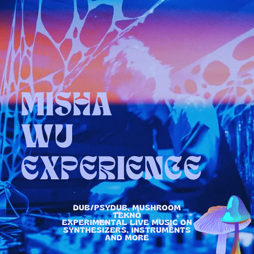 Mental Mushroom Tekno Promo Live Act Set on synthesizers