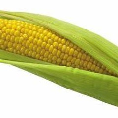the cob