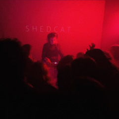 Shedcat