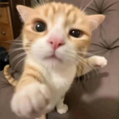 YUE