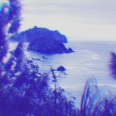 SXD ZAY