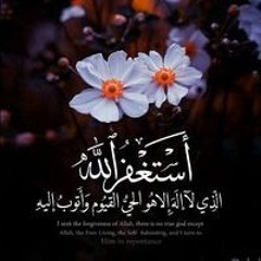 حمزه عبدالحليم