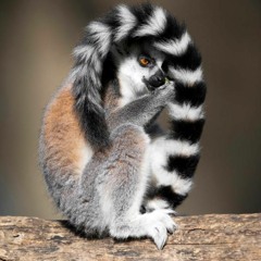 Lui Edilson Jaramillo