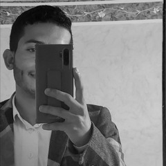 Mohammed Alterbi