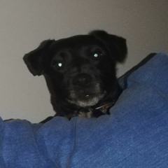 Hardfloor - Acperience - Vs - Listen To Ayala - Taucher Original Mix