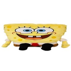 Spongimizationings