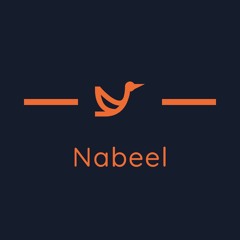 Nabeel Ansari
