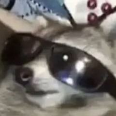 RJ_Woke