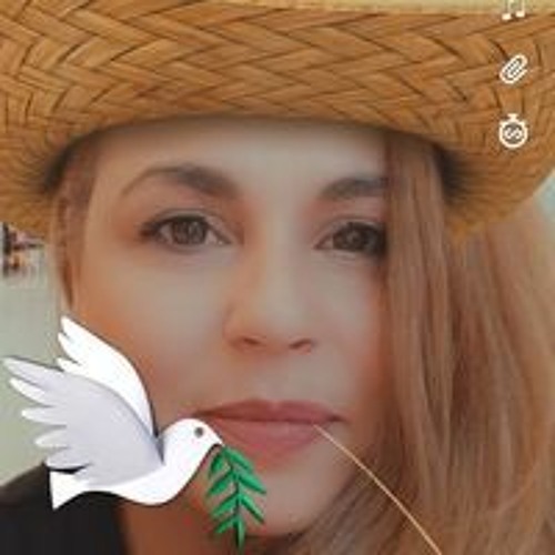 ליאת לוי’s avatar