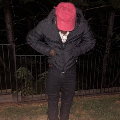 MoneyFlowGav-official