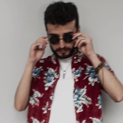 Ilan̈ Videns
