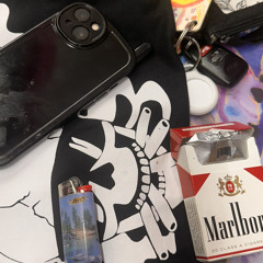 Shy Flowers, Wakefield