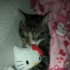 ZINALE_64