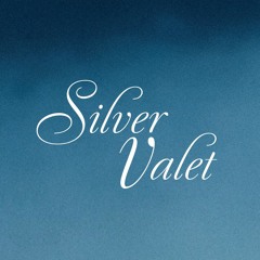 Silver Valet