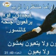 Eman Ibrahim