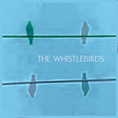 The Whistlebirds