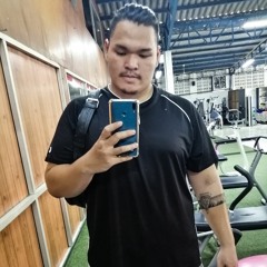 Artizary I. Nitikorn