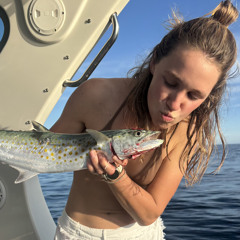 BigSnoek
