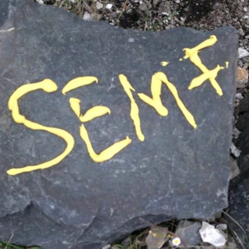 SEMF-T’s avatar