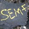SEMF-T