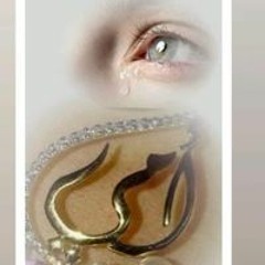 Ahmed Abdo