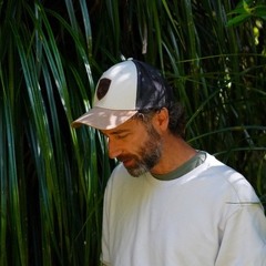 Stream Citrus Avenue music | Listen to songs, albums