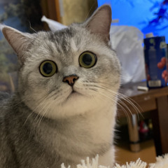 у меня музыкальный кризис