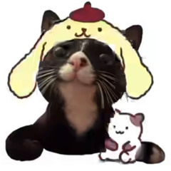김수호플리