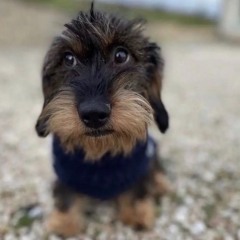 mrwalkdownandrpeyourkid