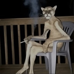 bogdan¹⁸⁷