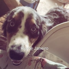 xpuppyviolencex