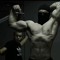 Theo gym