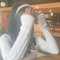 shaniya •
