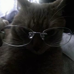 kittyprincess