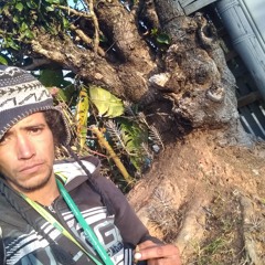 Felipenses
