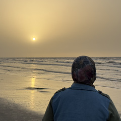 آية عامر ")