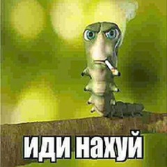 qw1eet