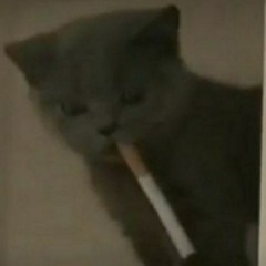 NASBVI BEATS - Black Eyes (Черные Глаза) Phonk Edition