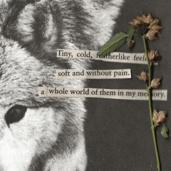 drifting away