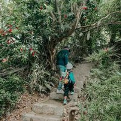 Thịnh Bear