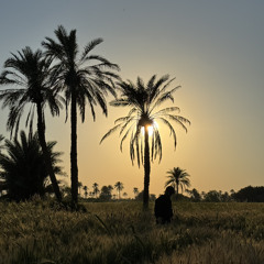 shkar chi