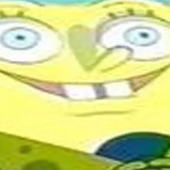 SpunchBongle
