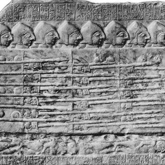 𝙿𝚑𝚊𝚕𝚊𝚗𝚡