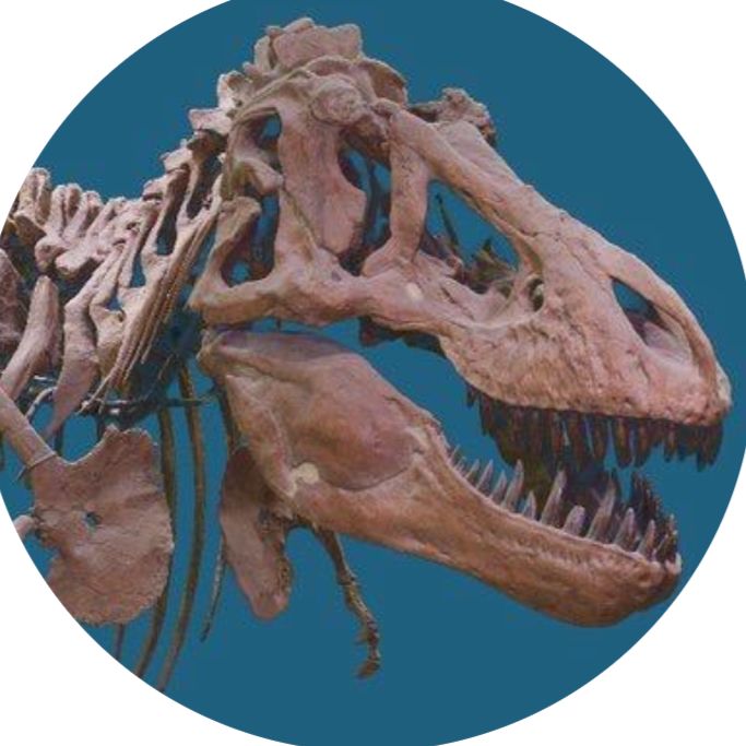 Science at AMNH