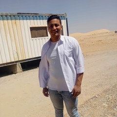 mohamed goher
