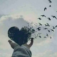 HAder Ahmed