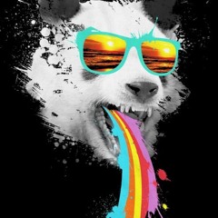 Dub Panda